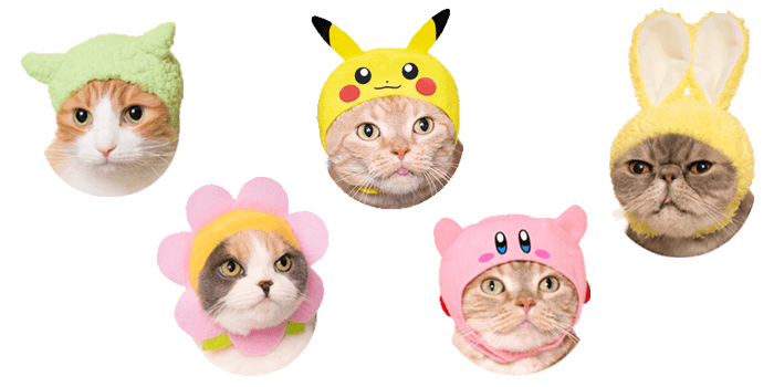 Neko no Kaburimono — cat headwear gashapon. 30+ releases. Kitan Club's second-longest-running series after Fuchiko