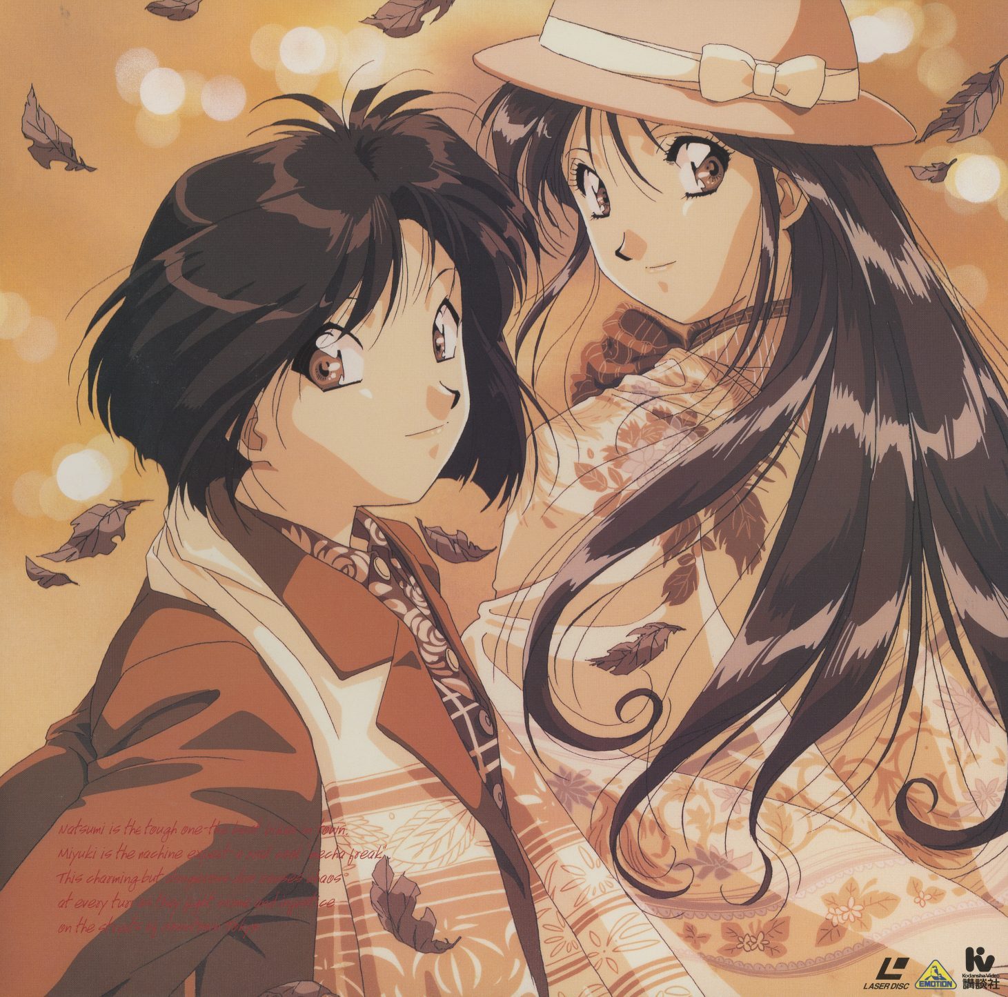 File 2 gatefold interior — Ken Nakajima and Natsumi in warm autumn portrait, falling leaves. Fujishima illustration. File 2 tracks the romantic subplot's development; the gatefold art runs parallel to the episode content.